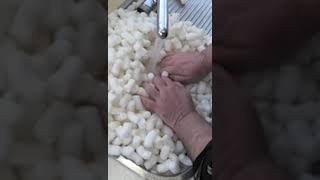 Why corn starch packing peanuts are fun! #boardgames #boardgame #recycling
