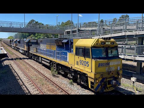 Pacific National 9205, LDP001 & TT113 at Lochinvar - 23/2/25