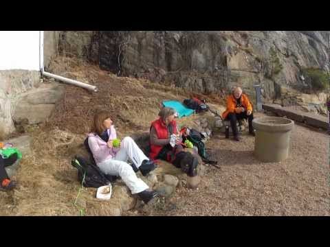 En skridskotur på Färlevsfjorden med Djungelvandring på St.Born(e)ö