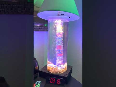 76062625 CBF4 4A78 966C E65CA7D668BB