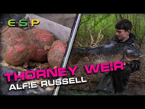 Fishing NATURALS AT THORNEY WEIR | Alfie Russell | Carp Fishing