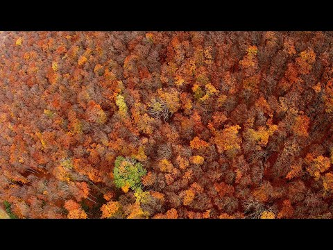 video 3