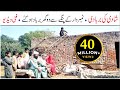 Number Daar Shadi Ki Barbadi Funny New Top Funny Must Watch Top New Comedy Video 2020 You Tv