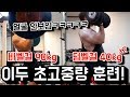 바벨컬90kg덤벨컬40kg 초고중량 트레이닝