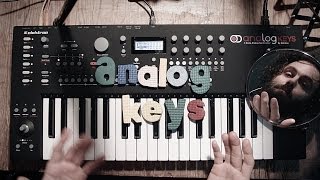 Video thumbnail for Analog Keys CUCKOO First Impressions Jam by True Cuckoo