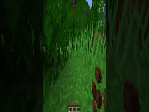 Milad Gamer - Every time laps in  hardcore Minecraft