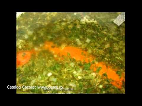 Cazare Meisoare, Dambovita - Cazat.ro