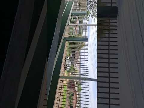 POSTO DE SAÚDE DE PITANGA  PARANA 