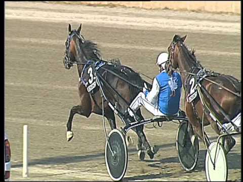 Trotto 06/05/2016 - 6° Corsa