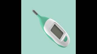 Amazoncom  FridaBaby Quick Read Digital Rectal Thermometer  Health  Household
