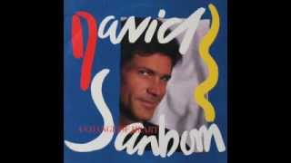 David Sanborn - Chicago Song (Extended Version)