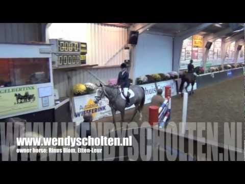 4 yr old mare Blom's Dora (by Zirocco Blue) at GMB competition