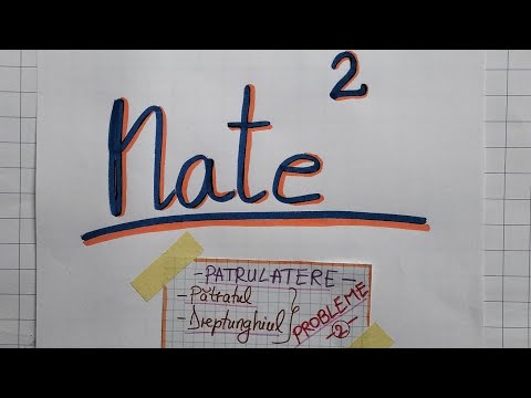 Patrulatere - Patratul, Dreptunghiul - Probleme (2)