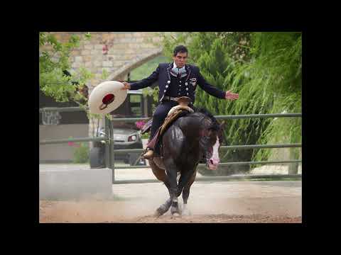 Presentación: Alejandro Goñi y Juan Ramos montando sus caballos y platicando de sus métodos.