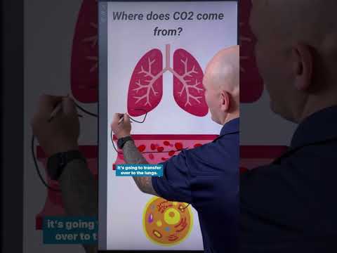 Where Does CO2 Come From?