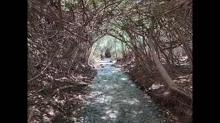 הסיפור הישראלי 201 - השלום והאחדות (הרב יצחק חי זאגא) - התמונה מוצגת ישירות מתוך אתר האינטרנט יוטיוב. זכויות היוצרים בתמונה שייכות ליוצרה. קישור קרדיט למקור התוכן נמצא בתוך דף הסרטון