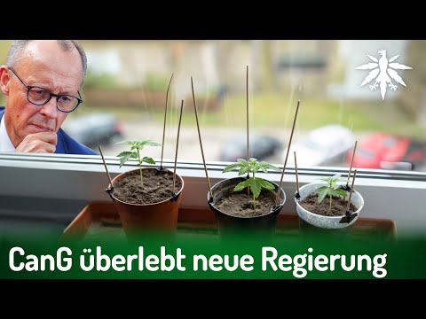 Video Thumbnail: CanG überlebt CDU-geführte Regierung | DHV-News # 462
