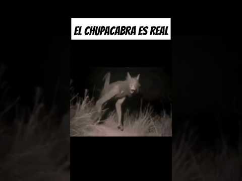 ¡El CHUPACABRAS es Real! 🌙 La Verdadera Historia Que Nunca Te Contaron