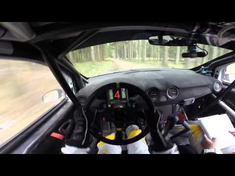INSANE Rally Race Driver POV - Flat out Inbetween trees