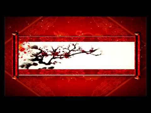 Saudação de Ano Novo de Zhe jiang jie kai máquinas de costura co., ltd (China CCTV)