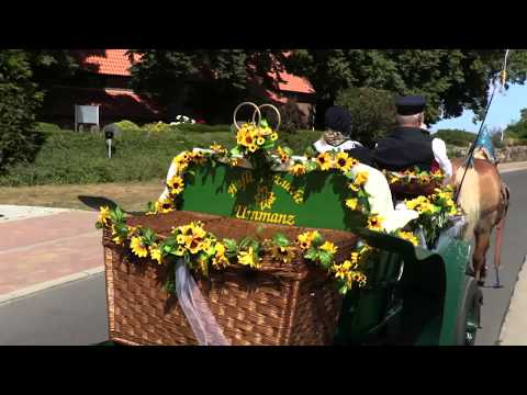 Hochzeitsfahrt mit Haflingern auf Ummanz