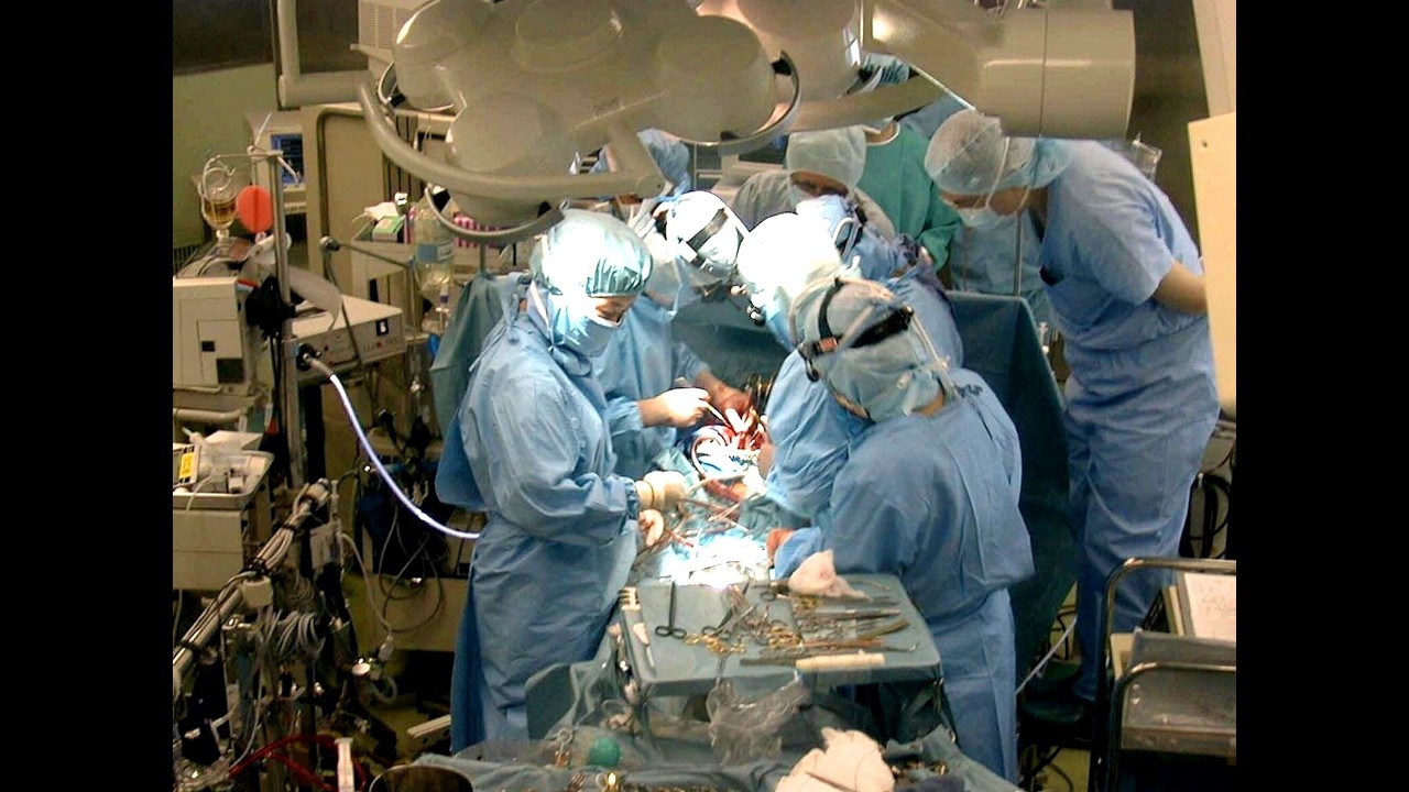 中国本土で約800人が署名　臓器移植の調査と一時停止求める