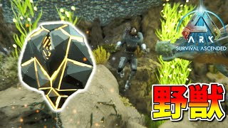 #26 野獣の洞窟に初潜入！水中は怖いよね・・・【ARK Survival Ascended】【ASA：The Island】【PS5】