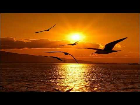 HI-CHU - FLY AWAY (Prod. tokyoghost)