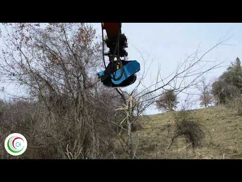 C4 F100 Trinciatrice Forestale - Forestry Mulcher Head