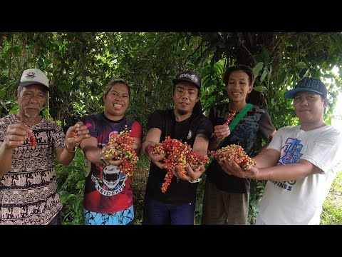 EP101 - Ang BIGNAY : BINIGNAYANG TALONG with " HAWOT at SAP-SAP " BALIK TANAW Series | S.P.C. Lag
