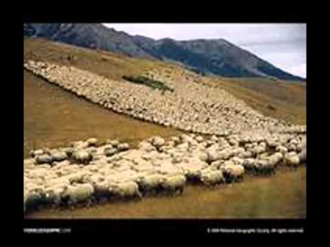 MARCONDES PEREIRA  ORA E CONFIA