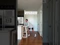 Throw Up As A Mom