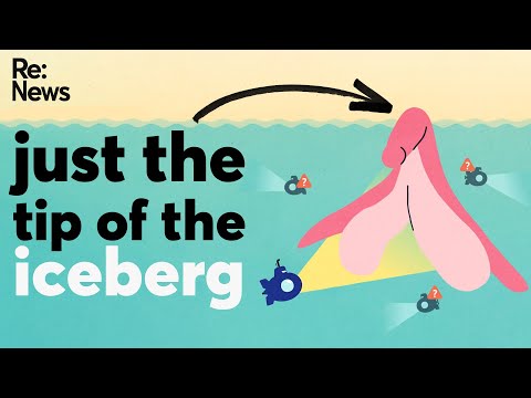 The clitoris: Explained