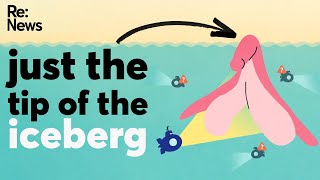 The clitoris: Explained