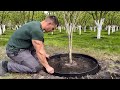 Відео