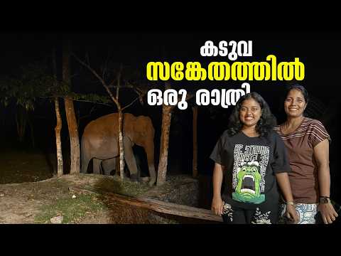 A Night in Periyar Tiger Reserve  | Kerala WildLife Trails  Puthettu Travel Vlog |