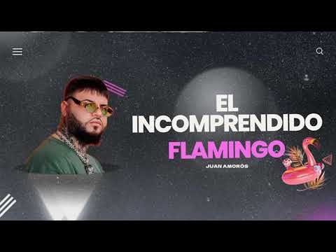 EL INCOMPRENDIDO X FLAMINGO, Farruko x Oliver Heldens (Juan Amorós Mashup)