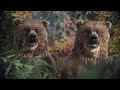 Twix Bears Camping Cannes Advertising Festival 2022 Film Category Silver Lion