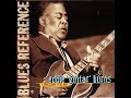 Eddie 'Guitar' Burns Lonesome Feeling