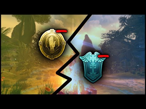 Neverwinter Mod 17 - Paladin & Cleric Healing Nerfed