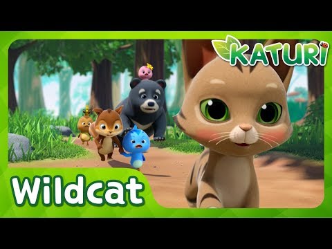 Run with me, Wildcat │KATURI│S1 EP36