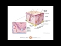 Educational Video Series: What is Squamous Cell Carcinoma (SCC)