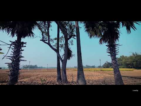 A Nature  Film - by Saikat Maity ! Cinematic Video ! Amazing Nature !....