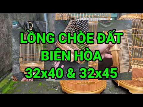 LỒNG CHÒE ĐẤT HÀNG KỸ ĐẸP