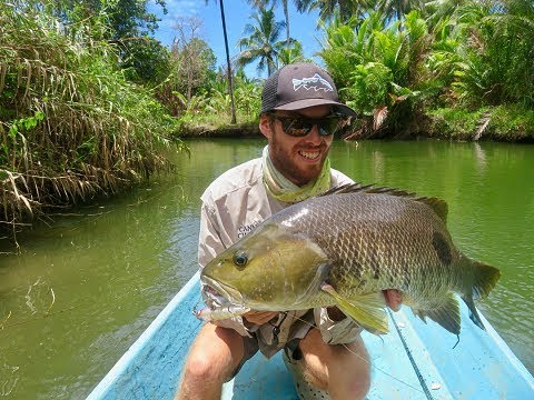 bass and spot tail bass movie 4k