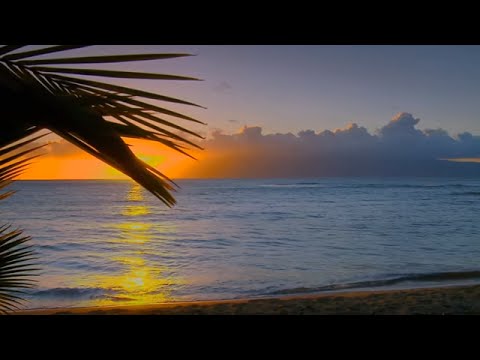 DJ Michael E / Frameworks - Calm The Still Night *k~kat chill café*