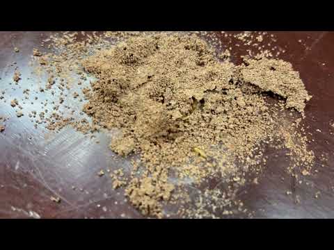 Termites Popping Out of the Desk in Seaside Park, NJ