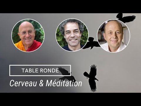 Table Ronde - Cerveau, Méditation et Vieillissement