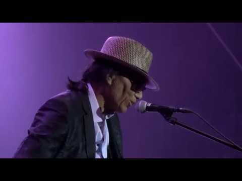 Rodriguez - Live at Pohoda 2018