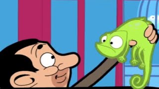 Bean Zoo | Mr. Bean | Video for kids | WildBrain Bananas